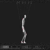 Skeleton Simulator